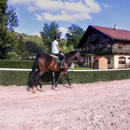Semesterbostad Luxury House In Krkonose - Bukanda Mladé Buky